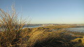 SX00625 Tramore beach from burrow.jpg